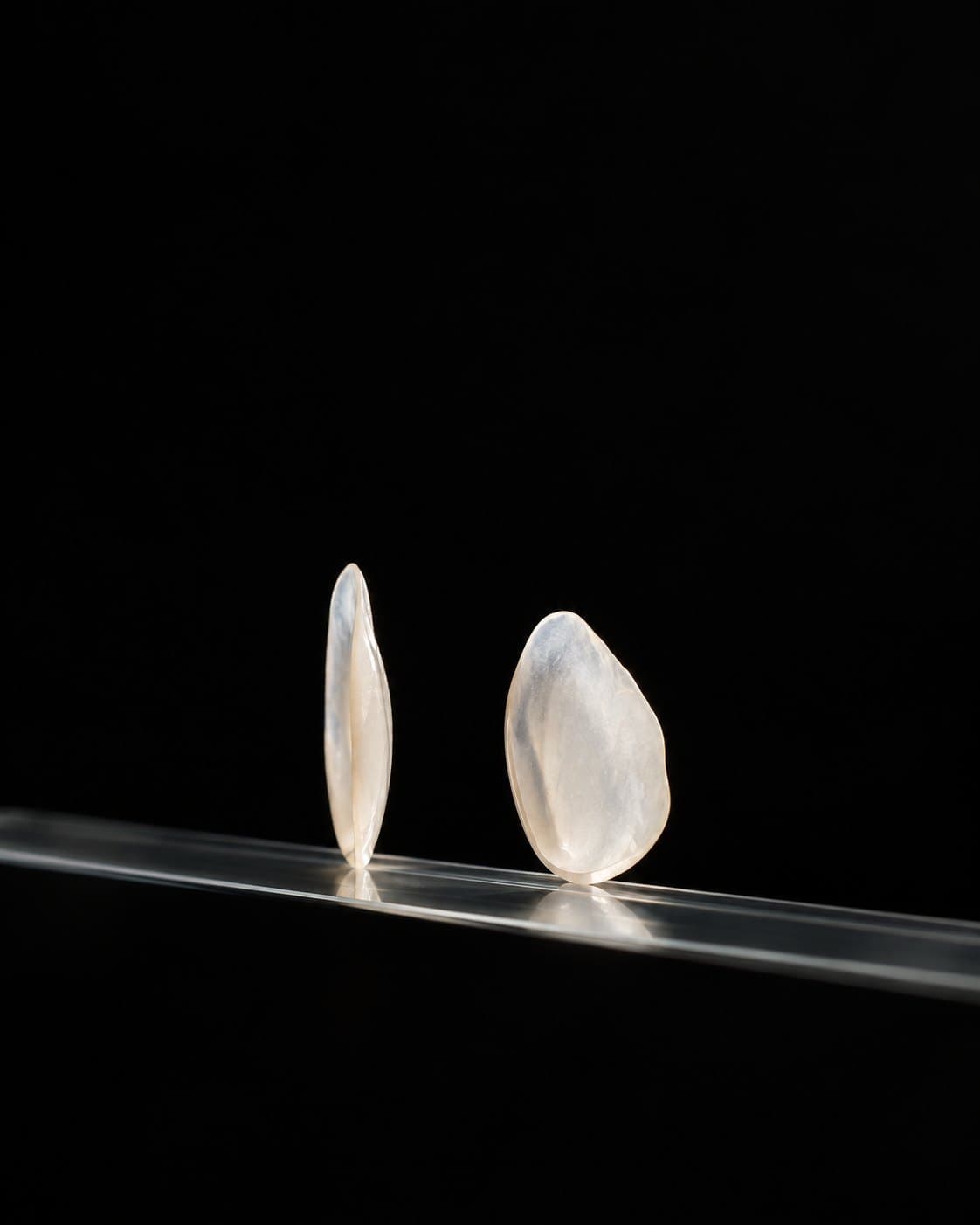 Two veneer shells on a dark surface, one edge on and one face on
